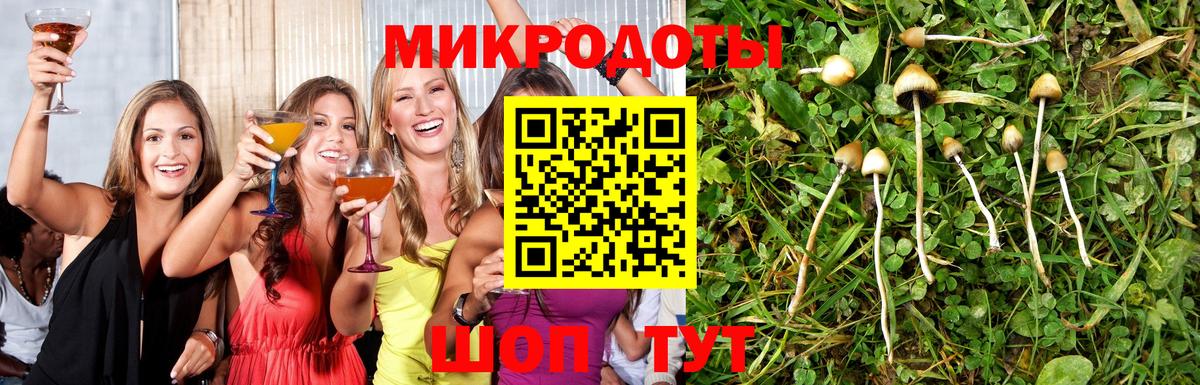 Псилоцибиновые грибы Psilocybine cubensis Коряжма
