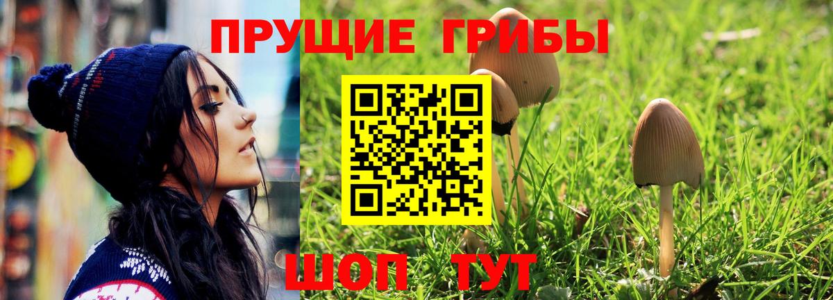 Галлюциногенные грибы мицелий  Галлюциногенные грибы Psilocybe  Коряжма  Вход с VPN 